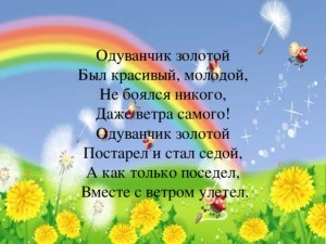 Высотская "Одуванчик", какое настроение вызывает у тебя это стихотворение?