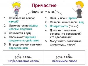 Какого пола зануда в предложении: А то посадят на шею какую-нибудь зануду?