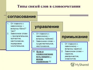 Как определить принцип расположения слов «Симпатяга, клюква, беседа…» (см)?