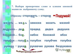 Какое правильное объяснение членимости слова "одуванчик"?