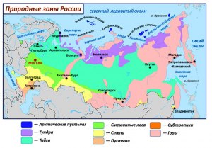 ОГЭ География, Какой заповедник находится в северной тайге?