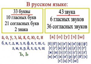 Сколько согласных звуков в слове расчёска?