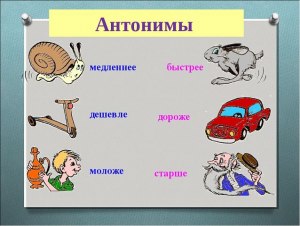 Какие есть синонимы, антонимы и эпитеты к слову: полицейский?