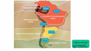 Какое соответствие между факторами(климатические, эдафические) и примерами?