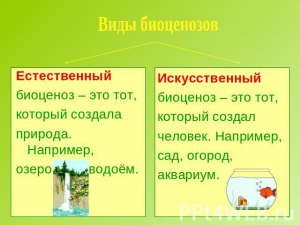 Какую роль в биоценозе играют малочисленные виды?