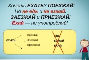 В каком слове допущена ошибка в образовании формы слова (см)?