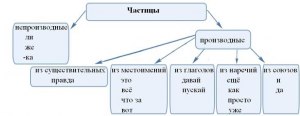 Как найти смыслоразличительные частицы в предложении?