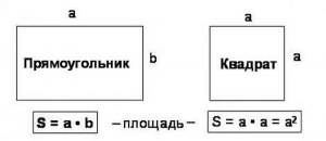 Сколько квадратных сантиметров в 15 квадратных метрах?