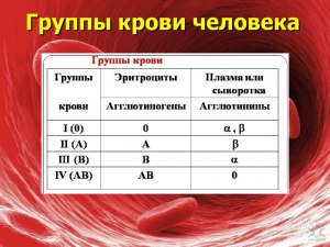 Какой группы может быть кровь у отца Светланы, если у нее вторая (см)?