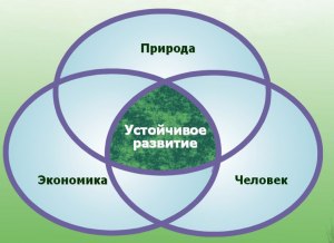 Как трактуется понятие устойчивое развитие в Концепции перехода РФ к нему?