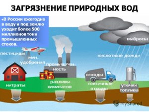 Что является наиболее распространенным загрязняющим веществом вод в РФ?
