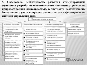 Какие основные механизмы гос. управления природоохранной деятельностью?