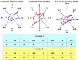 Какой ветер и в каком направлении реже всего дул согласно розы ветров (см)?