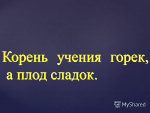 Корень учения горек, да плод его сладок - как объяснить значение пословицы?