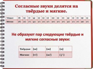 В каких словах все согласные звуки твёрдые: юрта, ёжик, слива, тушь, ...?