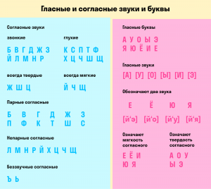 В каком слове предложения все звуки звонкие (см.)?