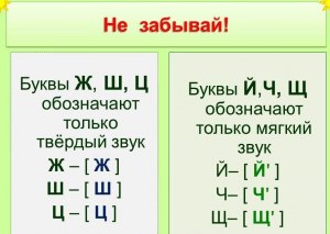 В каких словах звуков больше, чем букв: ёж, кольца, осень, семья, веет?