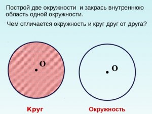 Чем круг отличается от точки?