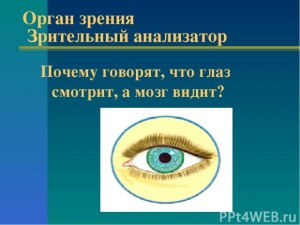 Почему говорят "всевидящий и всезнающий", а не "всёвидящий и всёзнающий"?