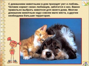 С каким домашним животным сравнил Собакевич прокурора города?