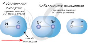 У каких двух веществ ковалентная полярная связь: CuO, Р₄, SO₂, MgCl₂, SiO₂?