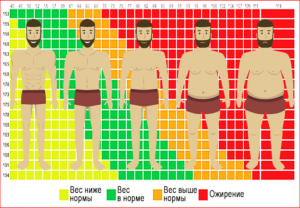 ОГЭ Биология, Как ответить на вопрос об изменении массы тела человека?