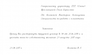 Многие (не)доумевали и (не)годовали, (не)долгое время. Как писать? Почему?