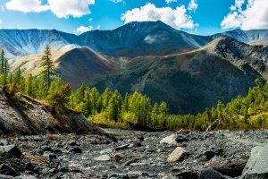 Какого высотного пояса нет в горах Алтая?