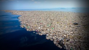Какие условия среды изменяются при строительстве мусорных островов?