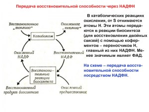 Как расположить в порядке усиления восстановительной способности: Pb, Na?