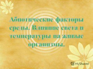 ОГЭ Биология, Как ответить на вопросы по тексту об экологических факторах?