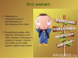 Если вам говорят: - Ну здравствуй чипушило. Что они имеют в виду?