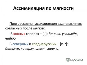 Кого или что в онежских говорах называли «мехрёнок»?