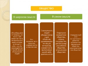 Обществознание ВСОШ 10 класс. 19.09.24. Как выбрать верные утверждения?