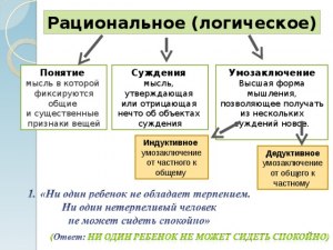 Какое из суждений отражает понятие Поколение в рамках логики Мангейма?