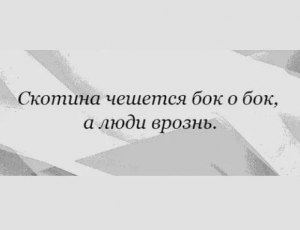 В чем смысл пословицы: Питер все бока повытер?