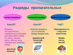 Что значит прилагательное паллиативный?