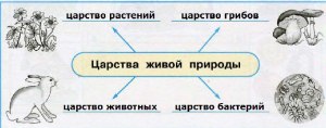 Что значит для тебя природа? Что тебе больше всего нравится в природе?