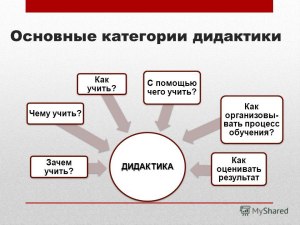 Теория обучения. Какой принцип не относится к дидактическим принципам?