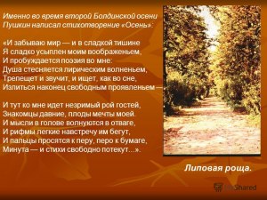 Какое единственное произведение написал Пушкин во время "Болдинской осени"?