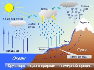 На севере и юге вода закручивается в воронку по-разному?