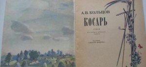 А. Кольцов "Косарь", какие ответы на вопросы учебника, 6 класс, стр.226?