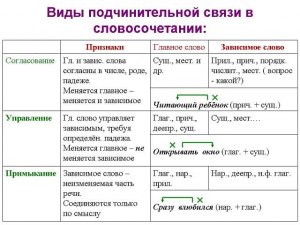 Какие бывают виды и типы словосочетаний?