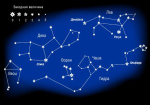 Какие из созвездий на карте заходят за горизонт (см. карту)?