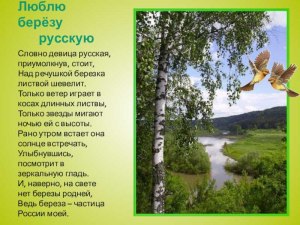 А. Прокофьев "Люблю берёзу русскую", ответы на вопросы, 4 класс какие?