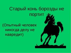 Чего, в соответствии с пословицей, не испортит старый конь?