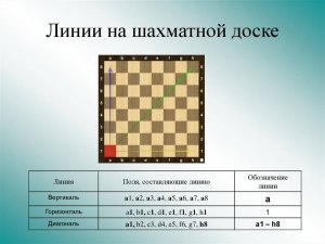 Сколько строчек, клеток пропускать между упражнениями, примерами? Нужно ли?