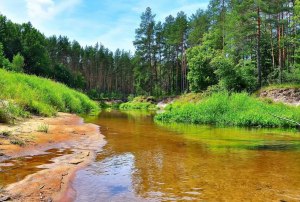 Какие реки протекают в Калужской области?