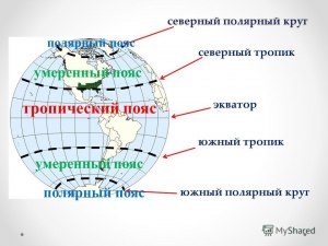 Какие выводы можно сделать, анализируя схему "Пояса освещенности Земли"?