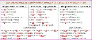 Какие гласные и согласные в корне слов нужно проверять на письме?